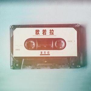 化妆舞会1998罗丽星
