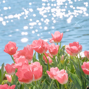 化妆舞会1998罗丽星
